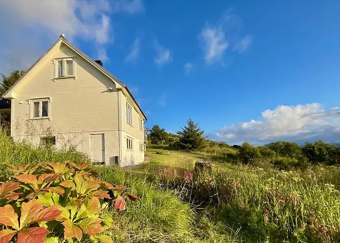 Panorama Lofoten Tatil Evi